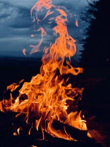 IMG_3810