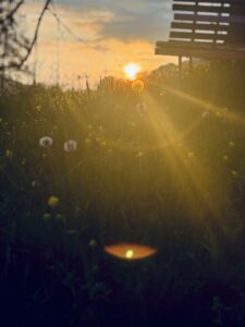 IMG_4112